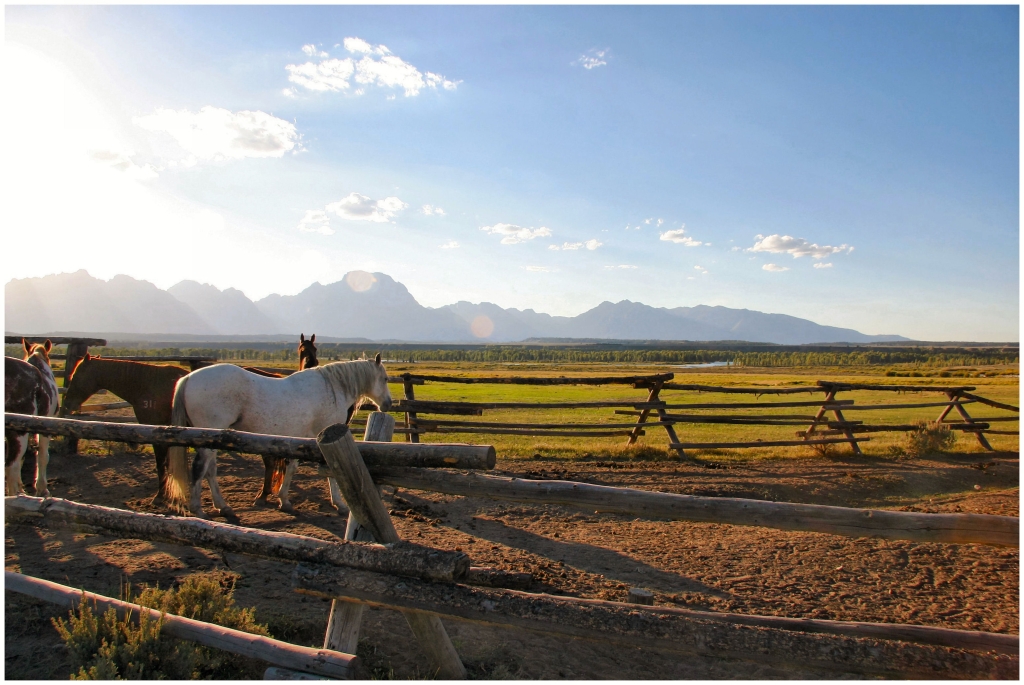 01 - Grand teton NP (27).jpg